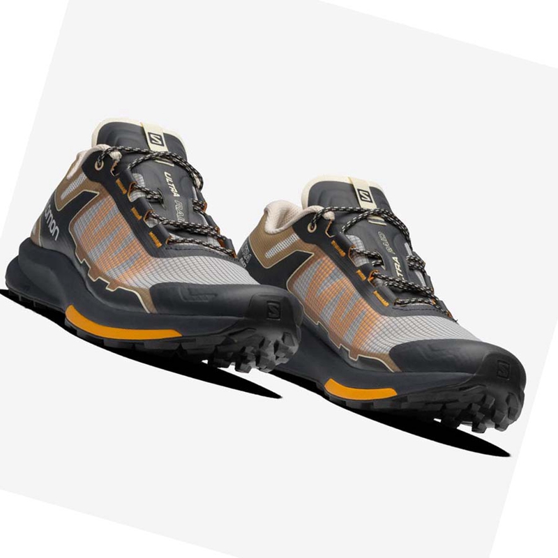 Men's Salomon ULTRA RAID Sneakers Brown / Silver | 47089-JAMT