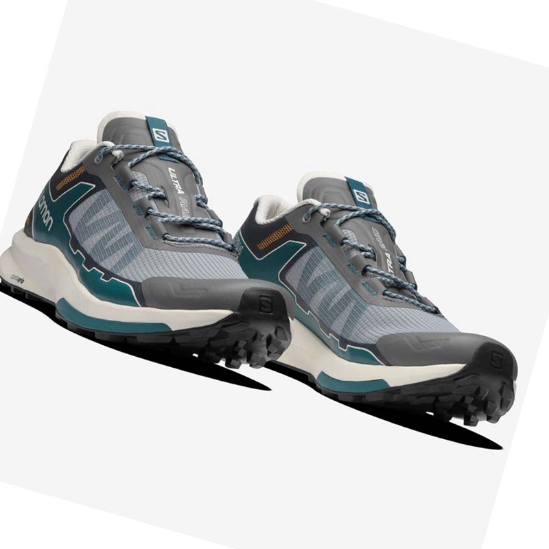 Men's Salomon ULTRA RAID Sneakers Grey / Silve | 83695-JRKX