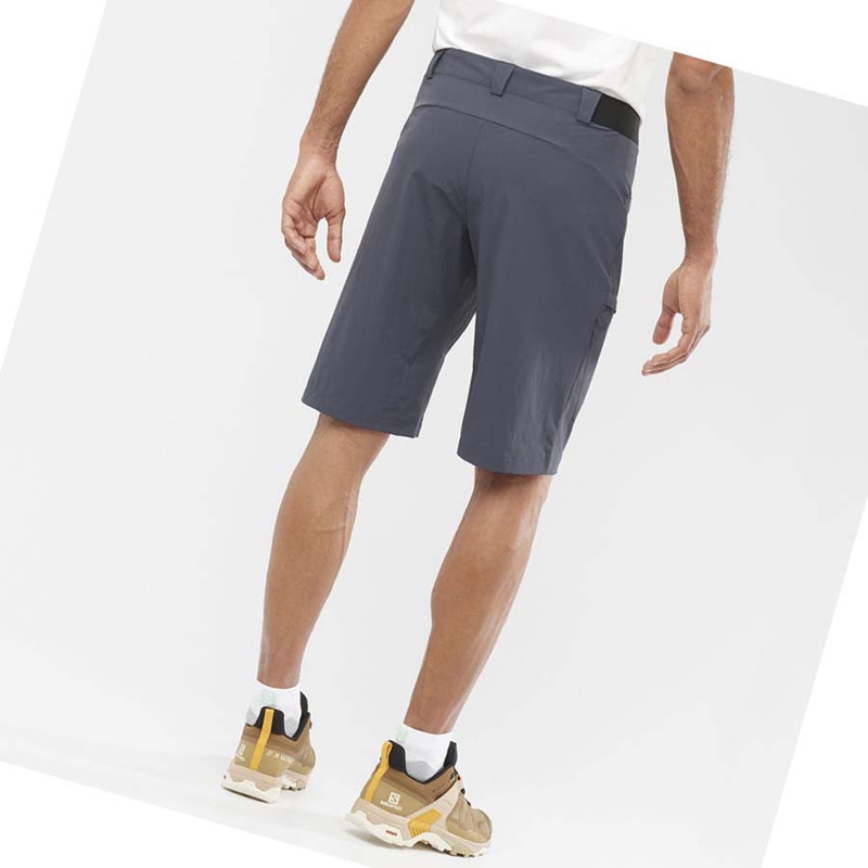 Men's Salomon WAYFARER Shorts Grey | 51392-CUNI