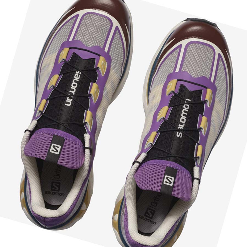 Men's Salomon XT-6 FT Sneakers Purple / Chocolate | 90731-VBNE