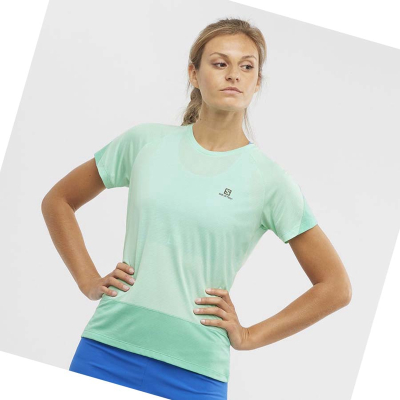 Women's Salomon CROSS RUN T Shirts Green | 13840-EBOC