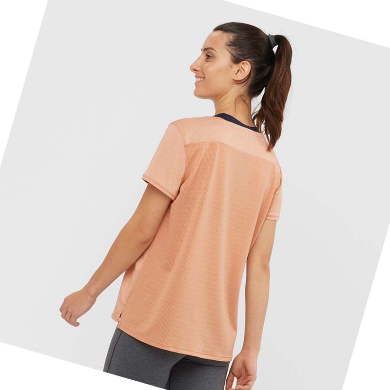 Women's Salomon OUTLINE SUMMER T Shirts Beige | 09154-IYLE