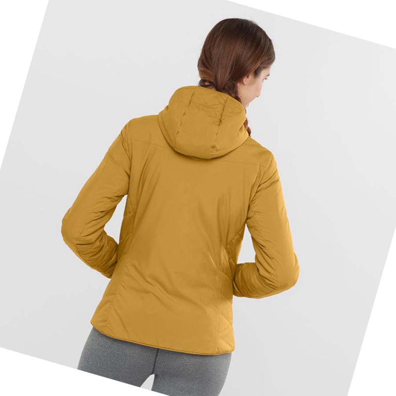 Women's Salomon OUTRACK INSULATED Jackets Yellow | 32175-QAVC