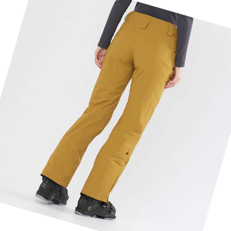 Women's Salomon THE BRILLIANT Ski Pants Brown | 86407-QLOA