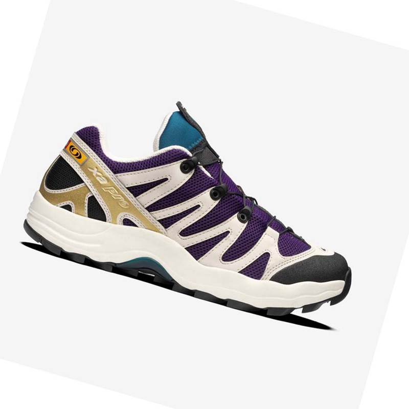 Men's Salomon XA PRO 1 Sneakers Purple / Chocolate / Blue | 86254-LWYK