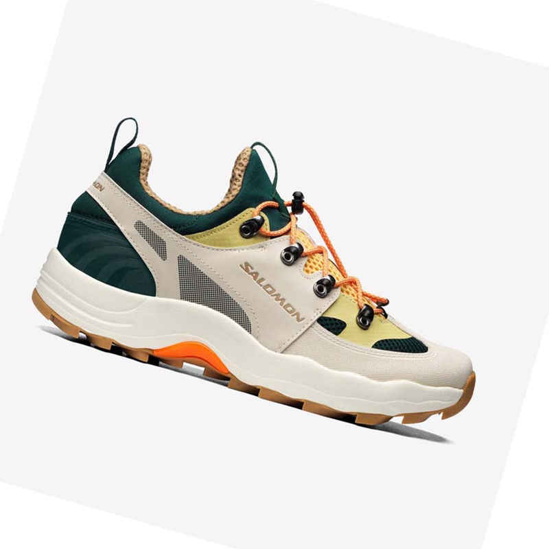 Women's Salomon RAID WIND Sneakers Beige | 78024-YPHL