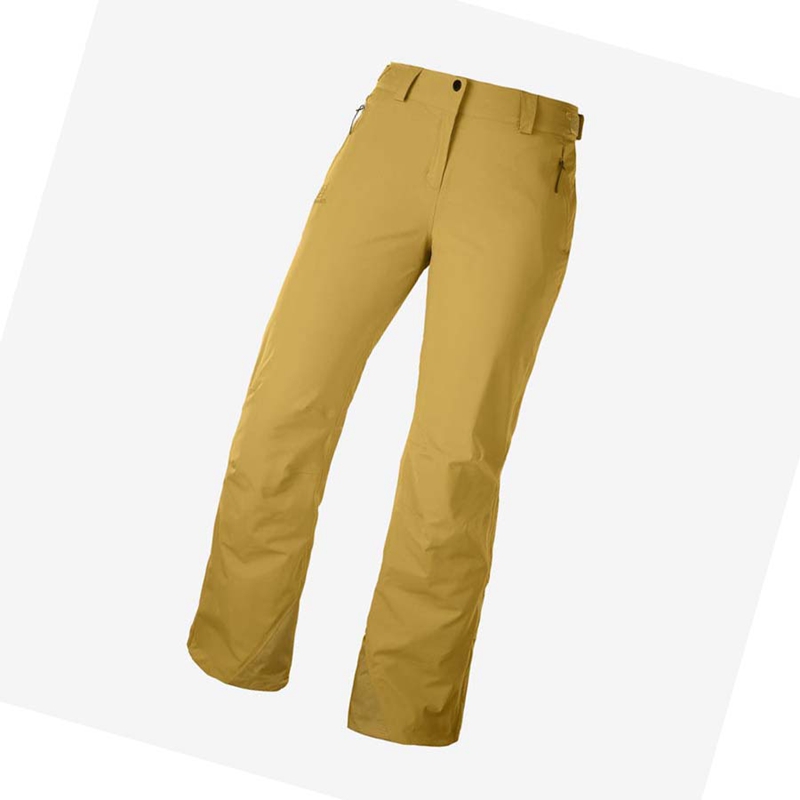 Women's Salomon THE BRILLIANT Ski Pants Brown | 86407-QLOA