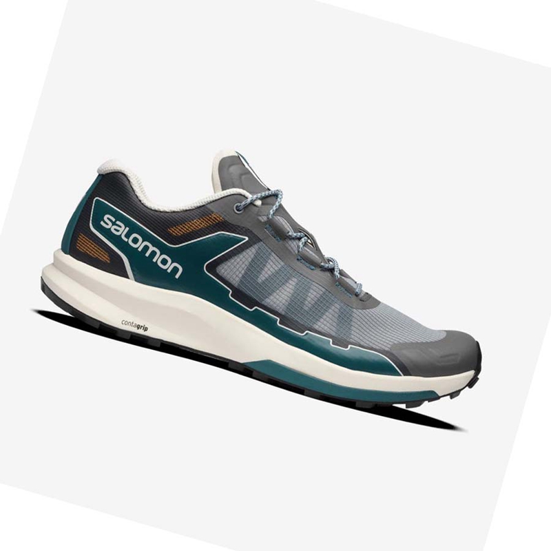 Women's Salomon ULTRA RAID Sneakers Grey | 73645-QNUD