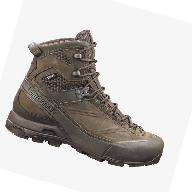 Women's Salomon X ALP GORE-TEX FORCES Boots Brown | 60831-CXQB